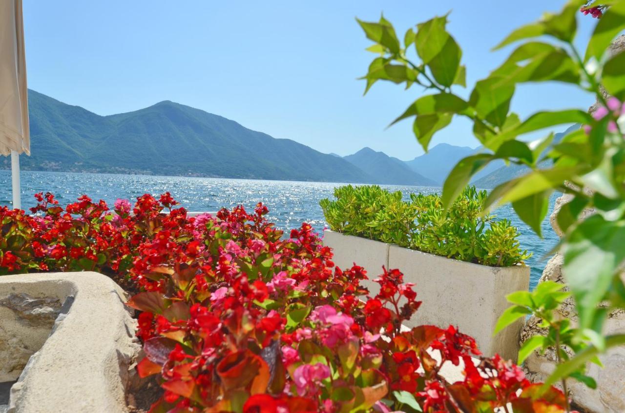 Tau Mir I Dobro Daire Kotor Dış mekan fotoğraf